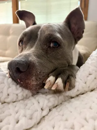 Lola