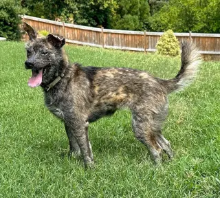 RueBee