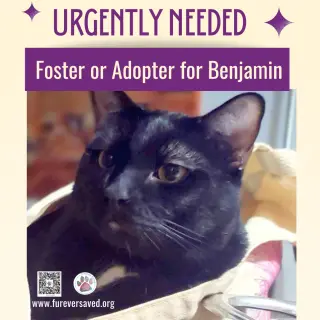 Benjamin