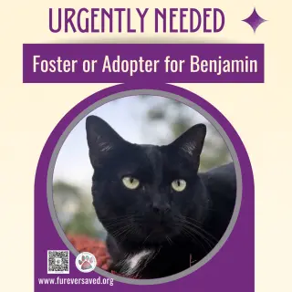 Benjamin