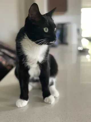 Pearl