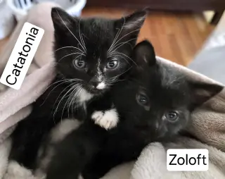 Zoloft
