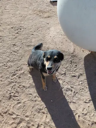 SOPHIA #6