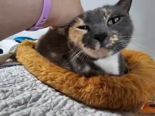 Labubu