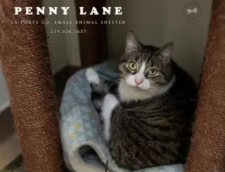 Penny Lane
