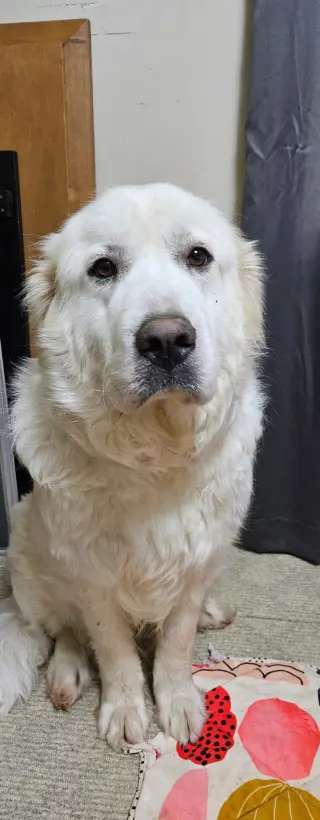 Mama