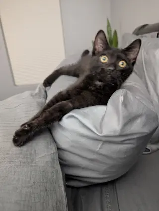 Deb
