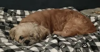 Grandpa Leo