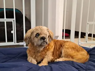 Grandpa Leo