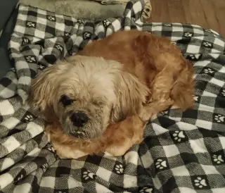 Grandpa Leo