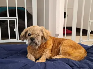 Grandpa Leo