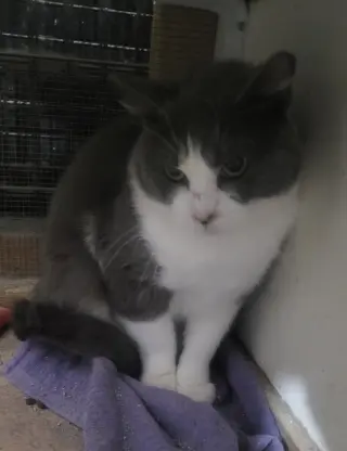 Carl