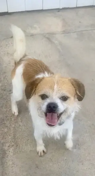 Mooshu