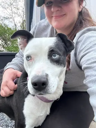Mercedes (1yo, 45lbs)