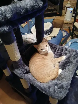 Jack