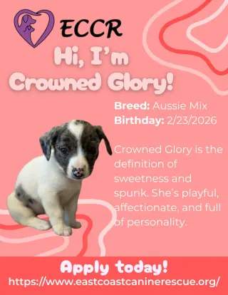 CROWNED GLORY