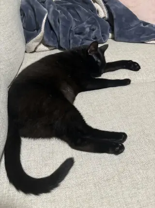 Princess Sabrina