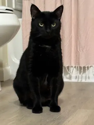 Princess Sabrina