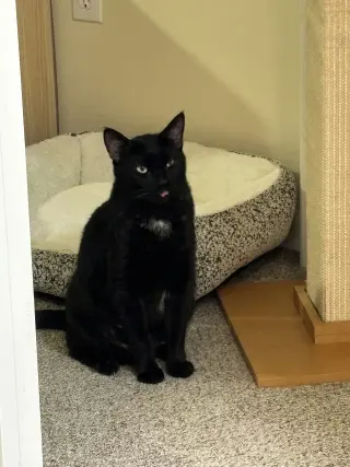 Princess Sabrina