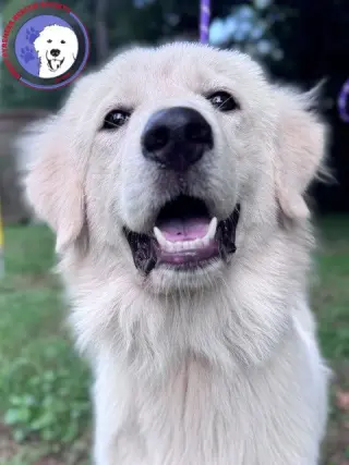 Tilly
