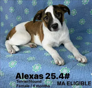 ALEXAS