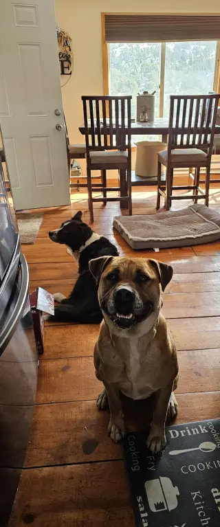 Nala