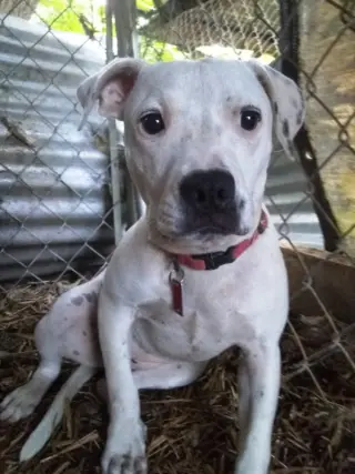 Sammy *Cross post*