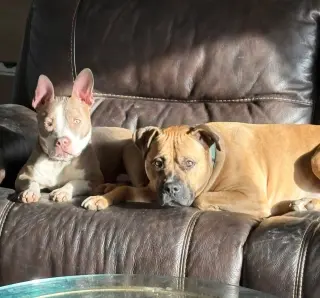Ears McGee