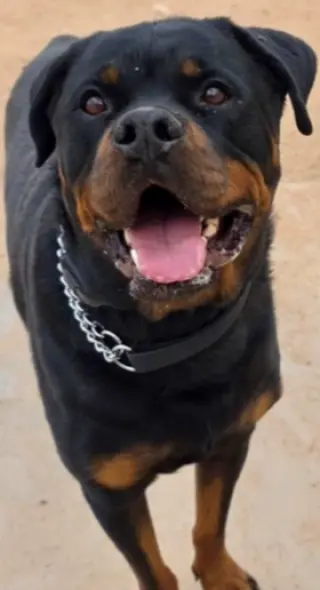 Bam
