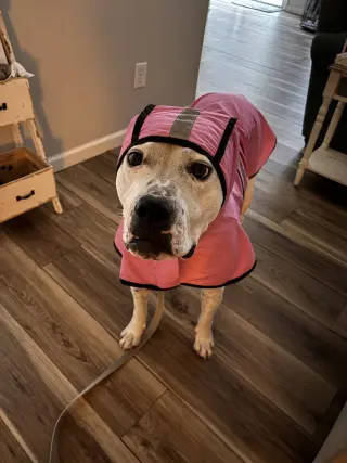 Binka