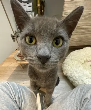 George