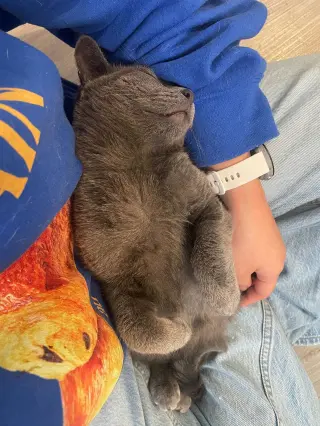George