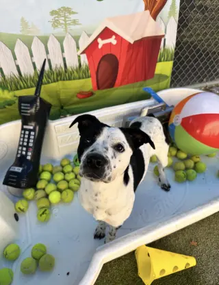 Fiona
