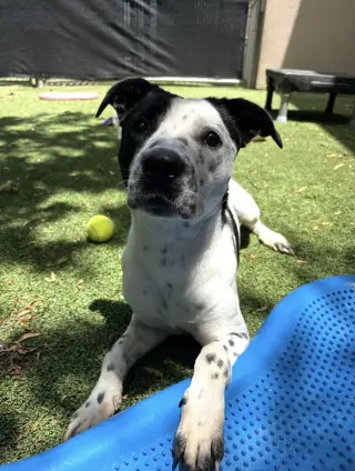 Fiona