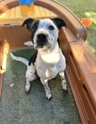 Fiona