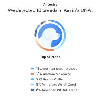 Kevin