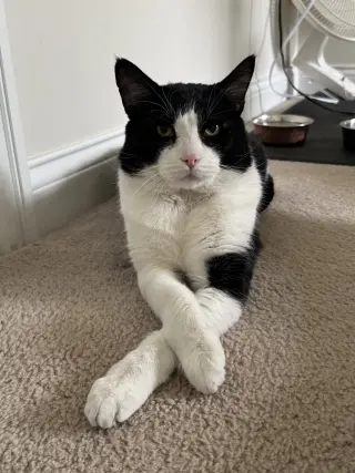 Mike