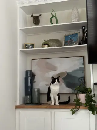 Mike