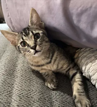 Nick