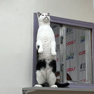 Niblet