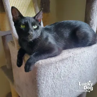 Ernie