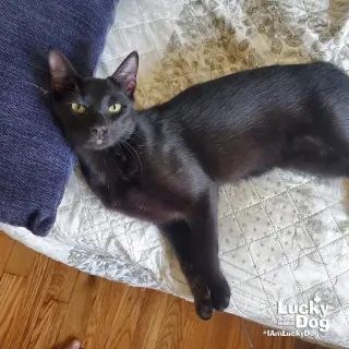 Ernie