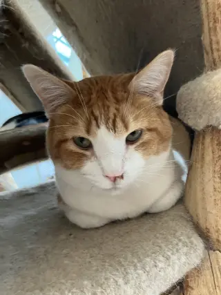 Rusty