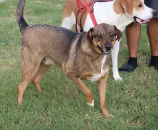 Sam