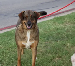 Sam