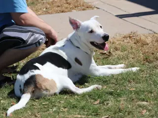 Molly Mama