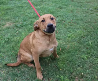 Hurley