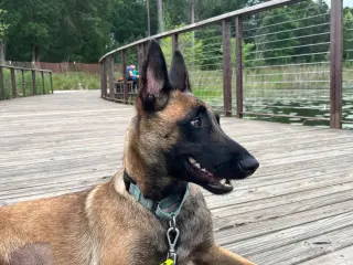 Ms Maddie - Located in Texas
