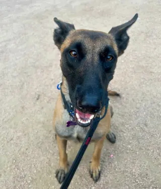 Ms Maddie - Located in Texas
