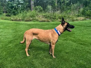 Ms Maddie - Located in Texas